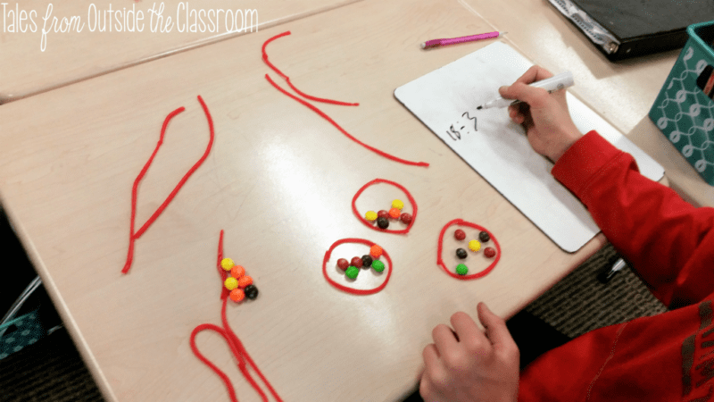 Student using licorice strings and Skittles to learn division