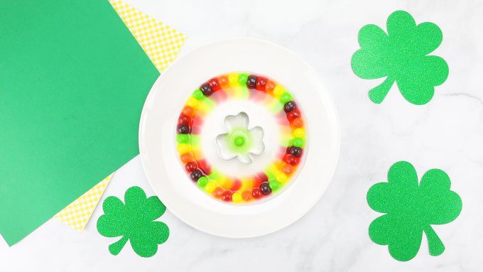 A plate has rainbow colored skittles around the edges that are bleeding toward the center where there is a shamrock (St. Patrick's Day crafts for kids)