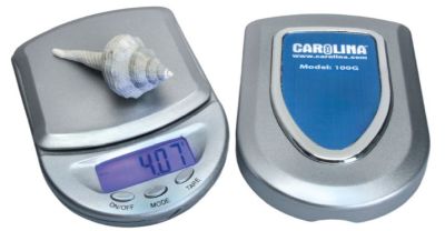 Digital scale with a cover, weighing a small seashell