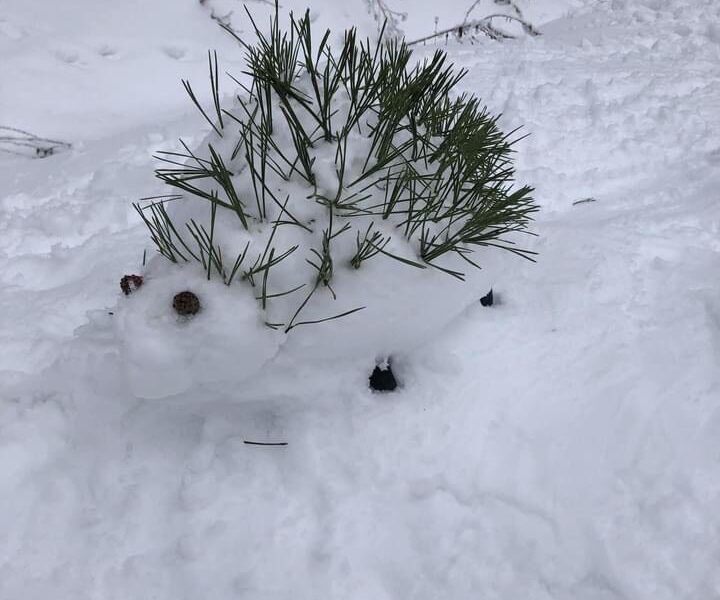 ice sculpture of a hedgehot 