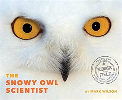 Book cover for Snowy Owl Scientist: Scientists in the Field