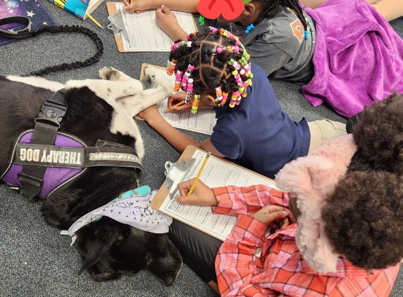 Children doing schoolwork with a therapy dog in the classroom