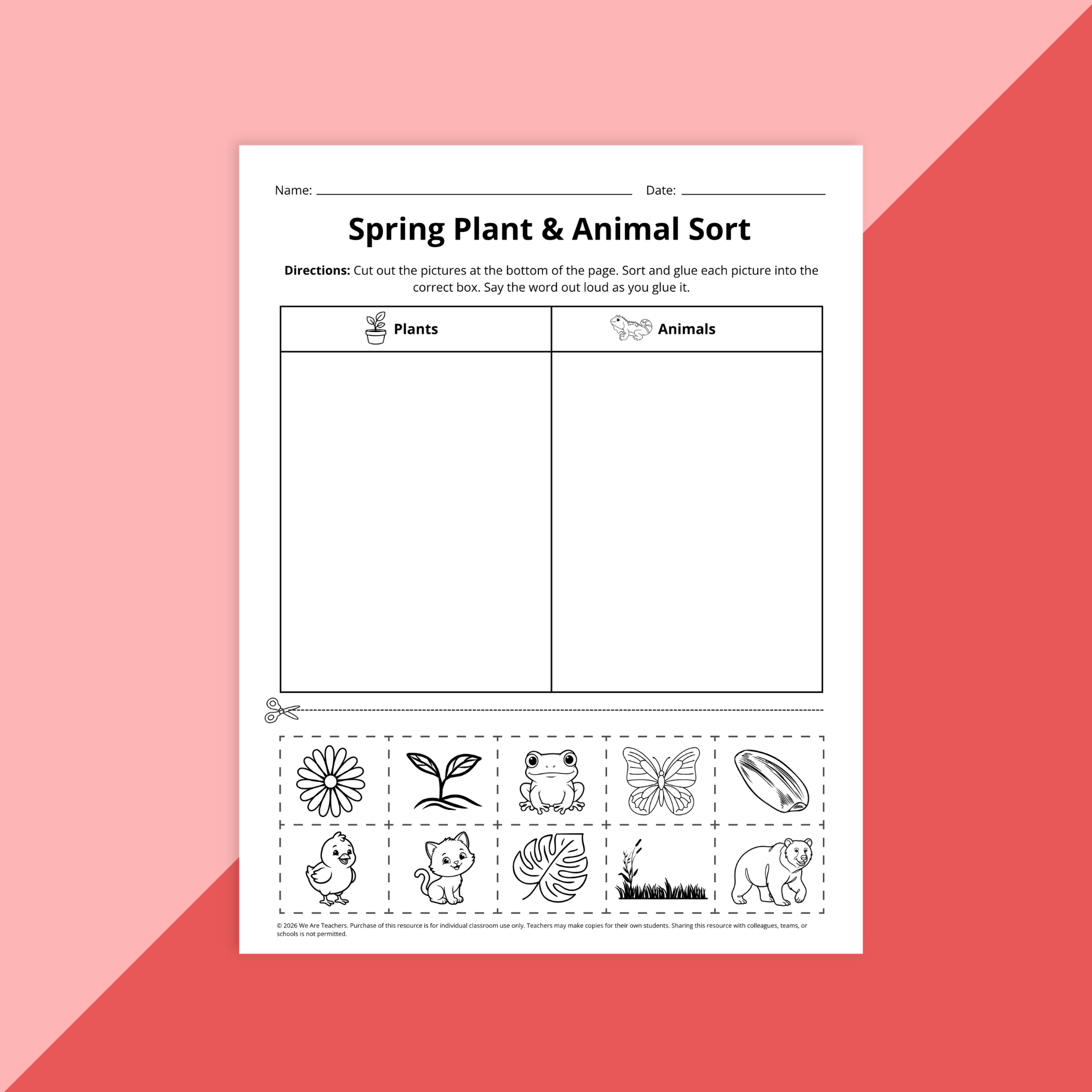 Flay lay of Spring ELA worksheet pages for PreK to Grade 2 on red background