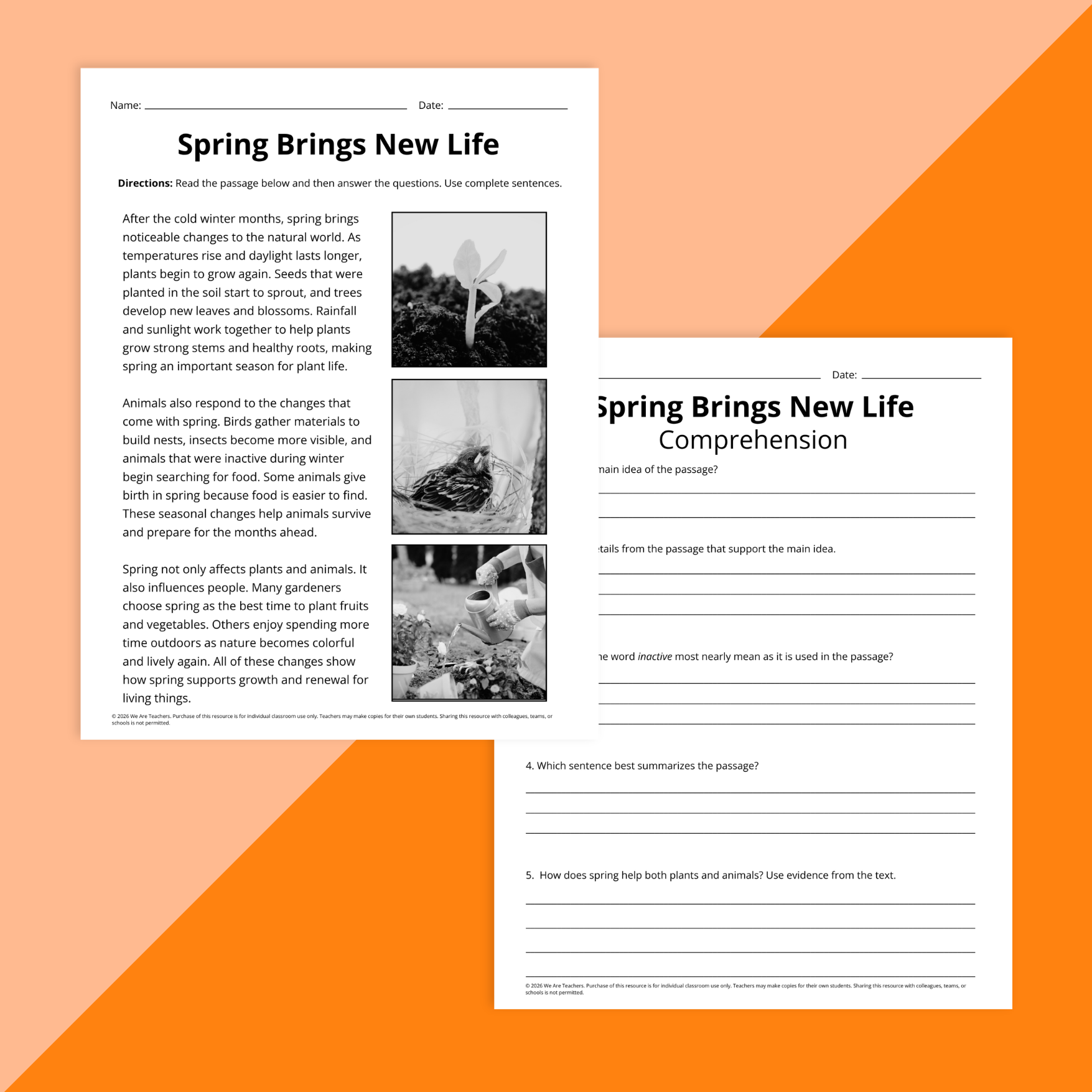 Flay lay of spring ELA worksheets for grades 3 to 5 on an orange background