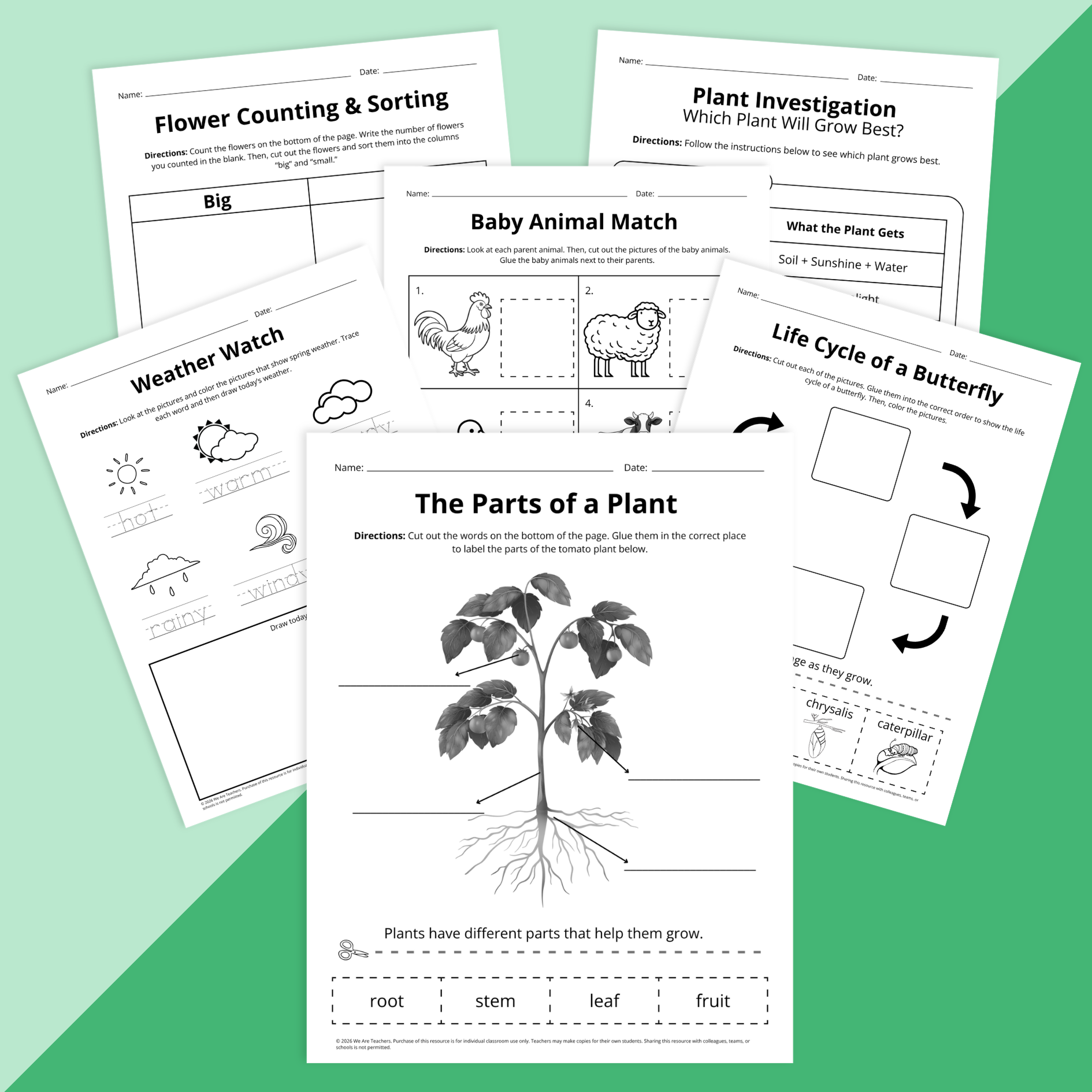Flay lay of spring science worksheet bundle for grades PreK-2 on a green background
