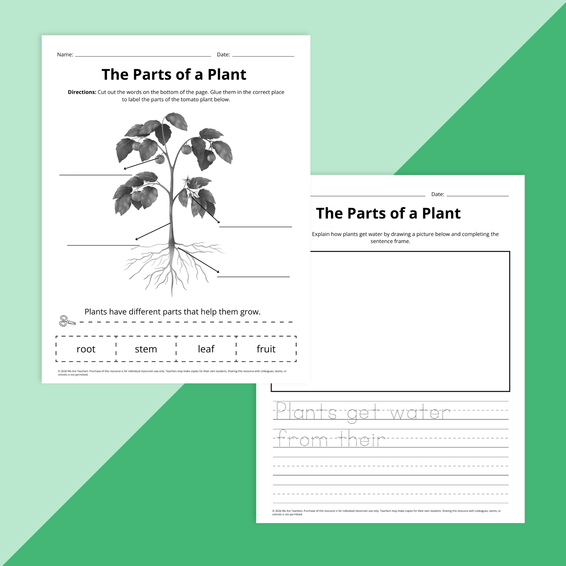Flay lay of spring science worksheet bundle for grades PreK-2 on a green background