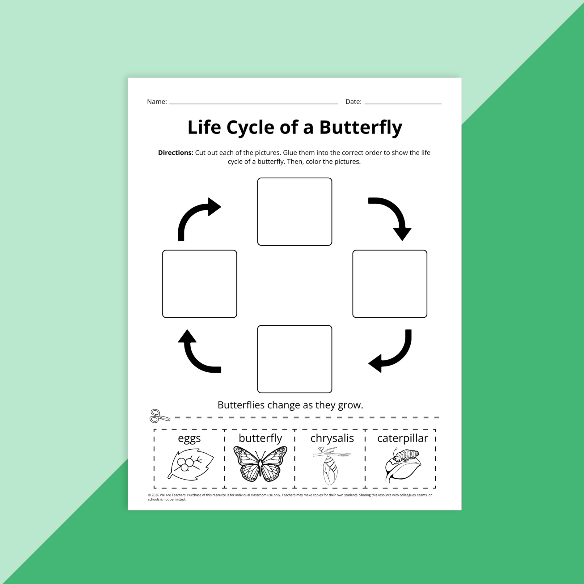 Flay lay of spring science worksheet bundle for grades PreK-2 on a green background