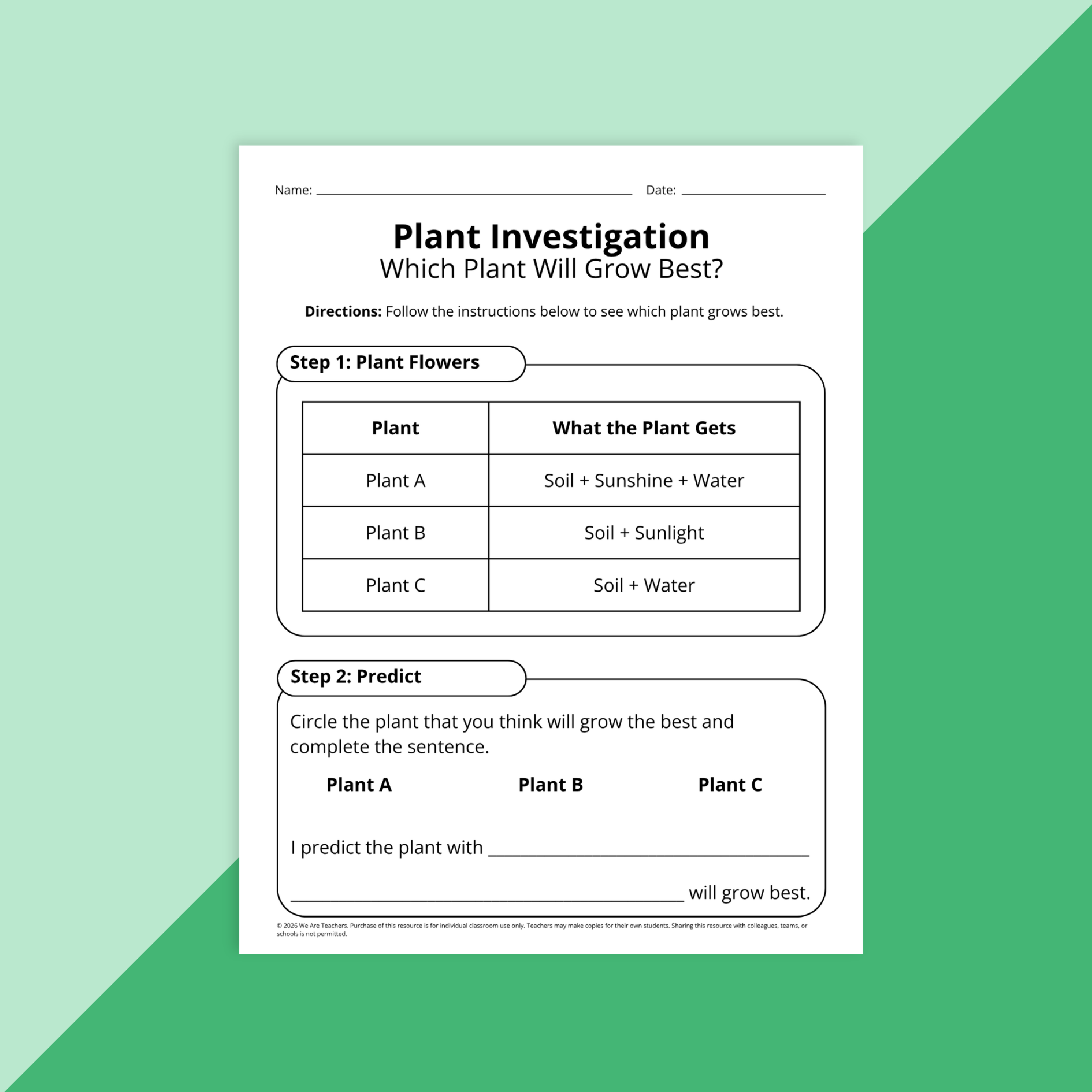 Flay lay of spring science worksheet bundle for grades PreK-2 on a green background