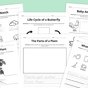 Flay lay of spring science worksheet bundle for grades PreK-2 on a green background