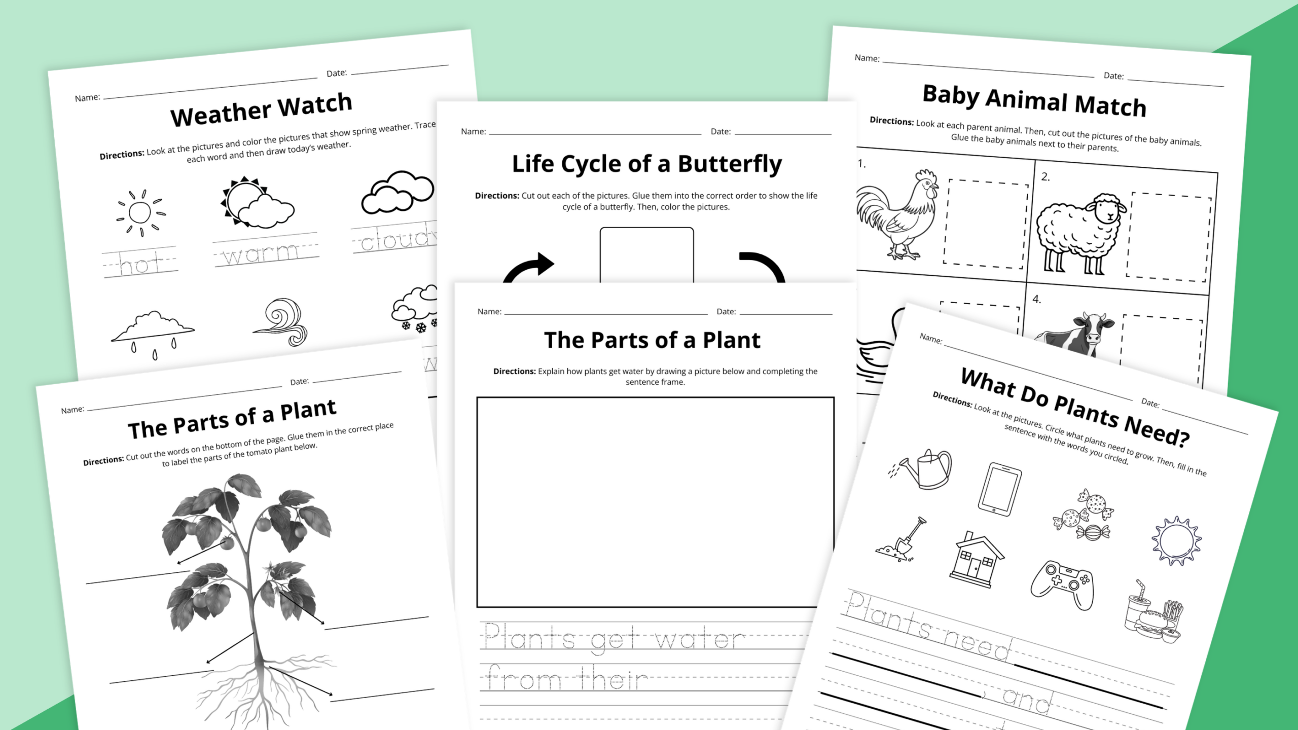 Flay lay of spring science worksheet bundle for grades PreK-2 on a green background