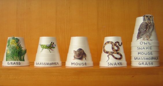 Several white cups have pictures of different animals on them and are labeled with animal names. The last cup is stacked inside other cups with other animal names visible.