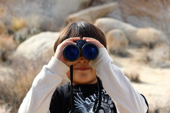 Child looking through a pair of binoculars at birds, as an example of Staycation Activities