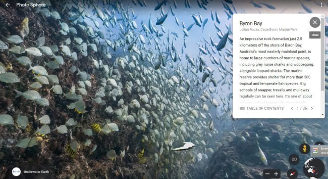 Google Street View of Byron Bay underwater, showing hundreds of fish (Spring Break Activities)