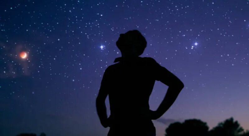 Silhouette of a person looking up into a starry sky