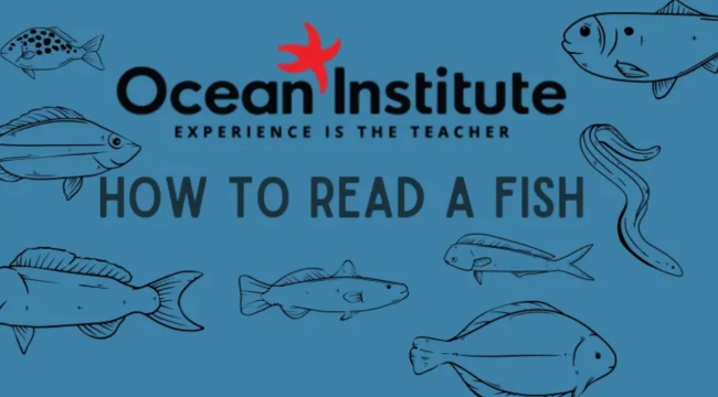 Blue background with outlines of fish. Text reads Ocean Institute: Experience is the Teacher. How to Read a Fish.