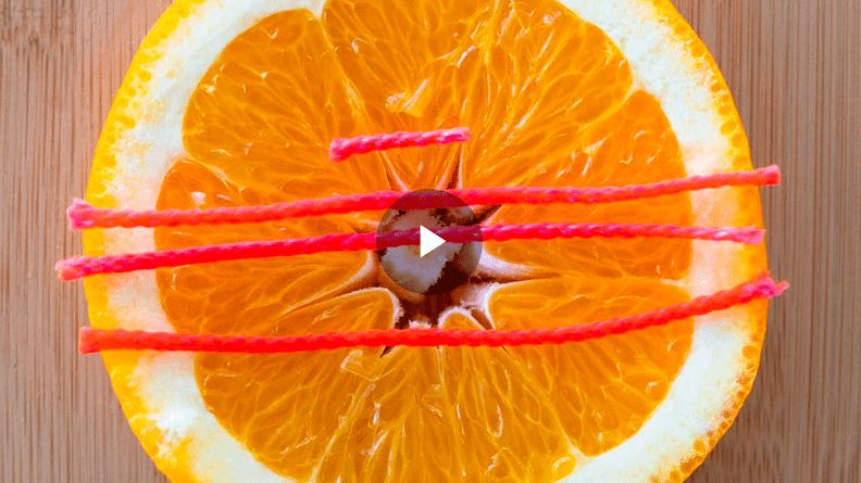 A cross section of an orange with 4 pieces of red yarn stretched across