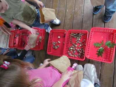 Young students sorting objects found on a nature walk into red plastic bins as an example of team building activities for kids.