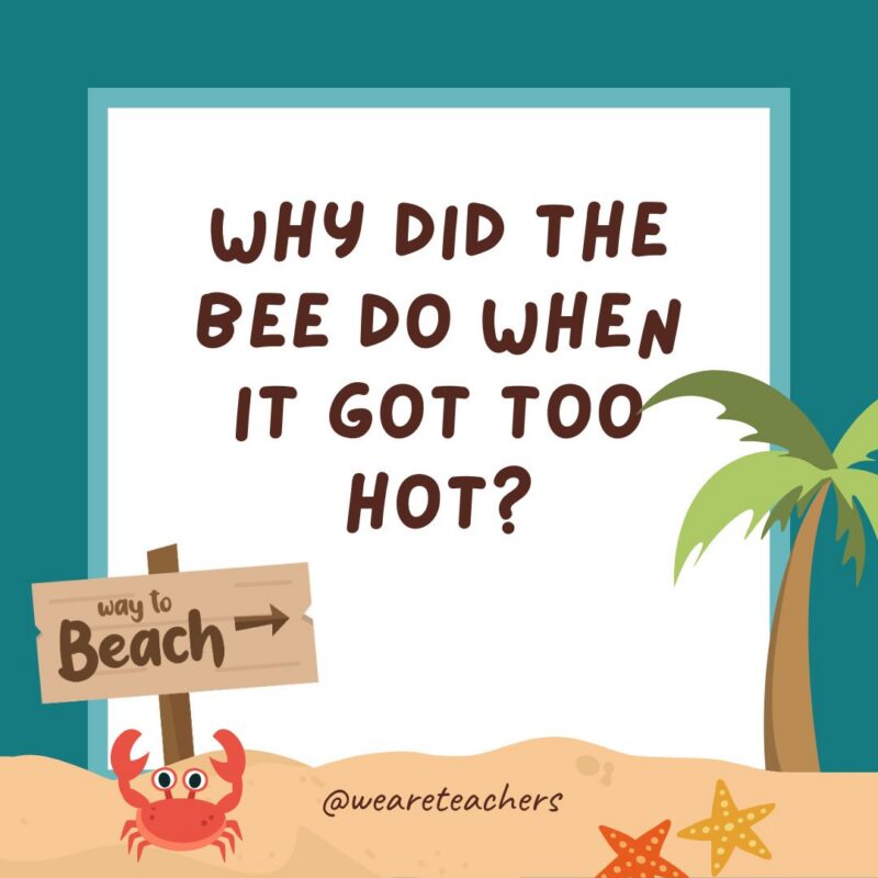 Summer Jokes for Kids