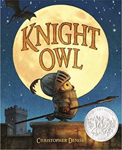 Book cover for Knight Owl