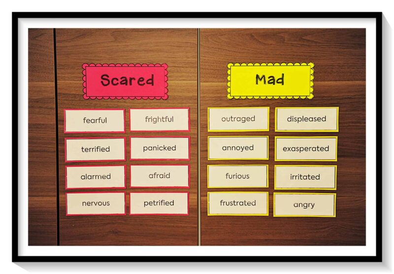 Many synonyms listed underneath the words "scared" and "mad," an an example of activities on synonyms 