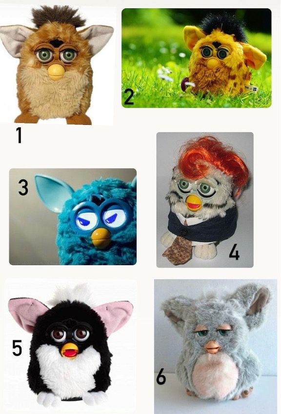 Example of Furby Attendance Question
