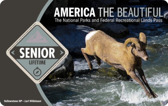 America the Beautiful National Parks Senior Lifetime Pass