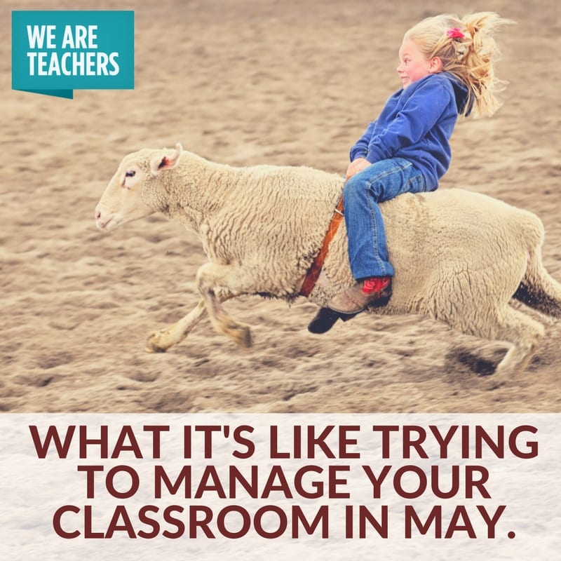 classroom management in May meme