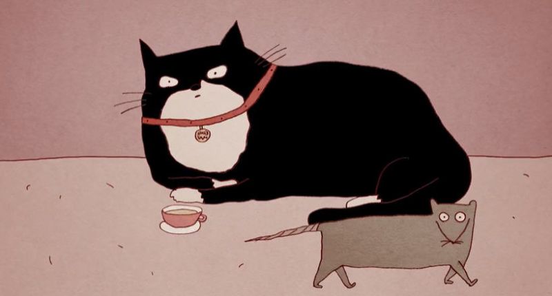 Still shot from a TED Talk about the history of cats