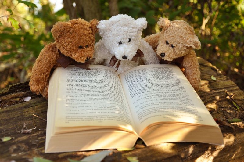 Three teddy bears posed to look as if they're reading a book