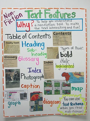 anchor chart of different text features 