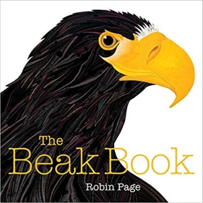 Book cover for The Beak Book as an example of animal books for kids