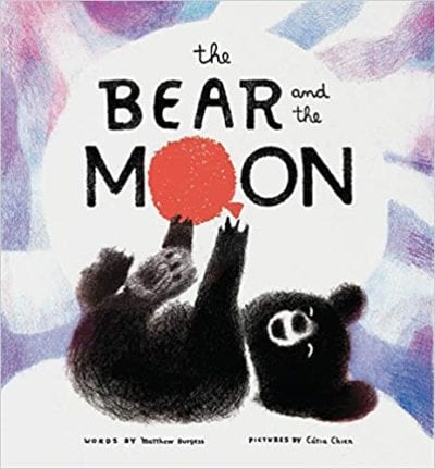 Book cover for The Bear and the Moon by Matthew Burgess as an example of kindergarten books