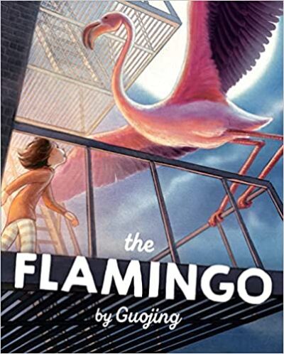 Book cover for The Flamingo as an example of second grade books