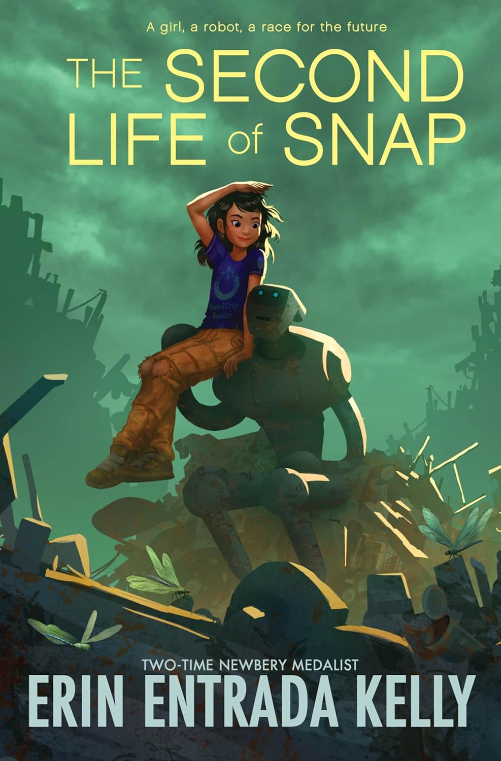 The Second Life of Snap book cover