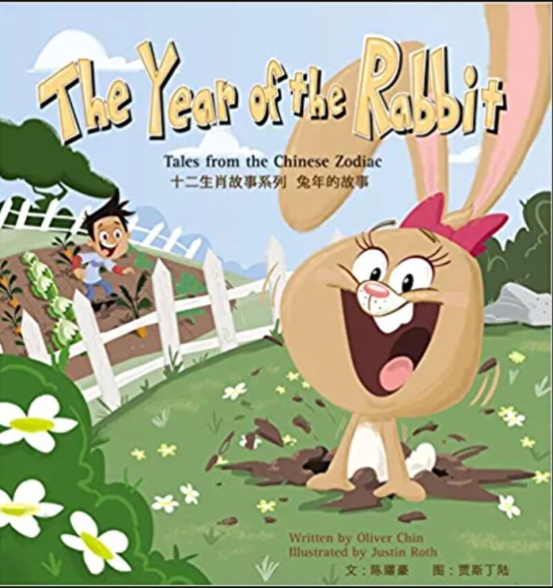 Book cover of The Year of the Rabbit