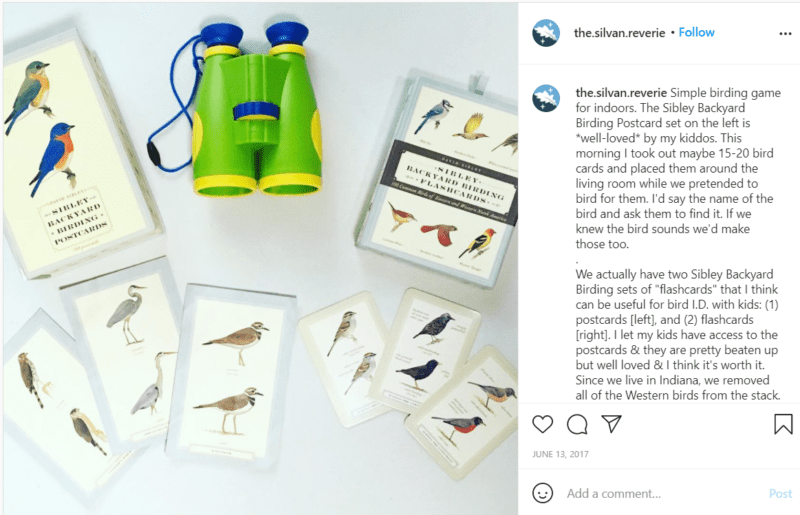 Still of binoculars and books the.silvan.reverie Instagram post birding for kids