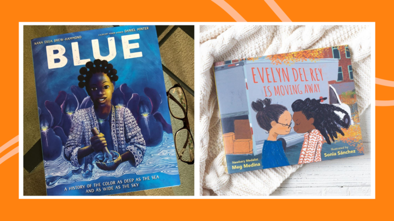 Examples of third grade books including Blue and Evelyn Del Rey Is Moving Away
