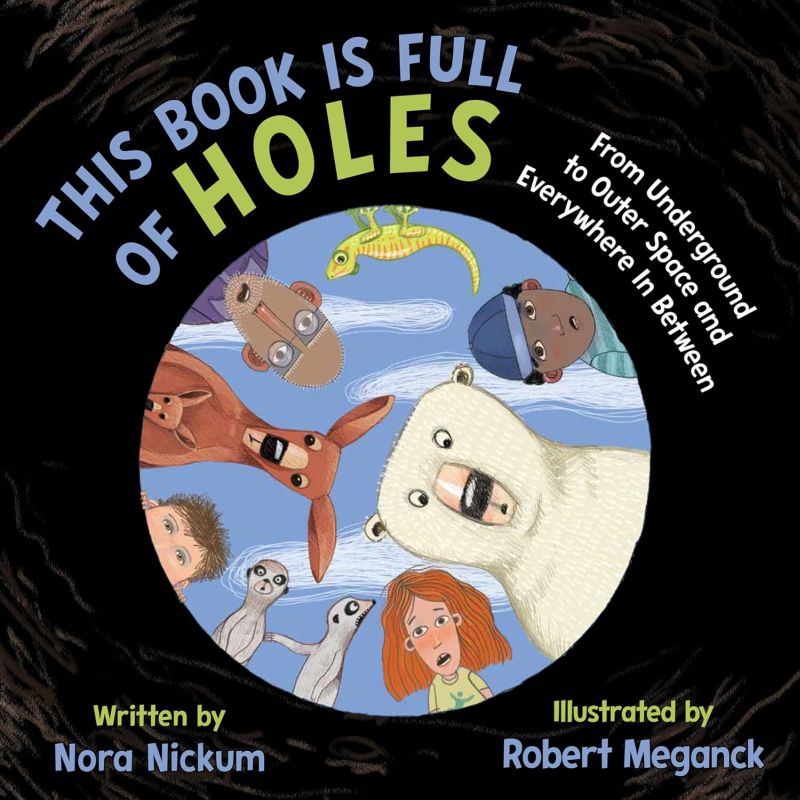 This Book is Full of Holes book cover