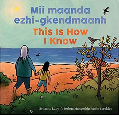 Book cover for This Is How I Know
