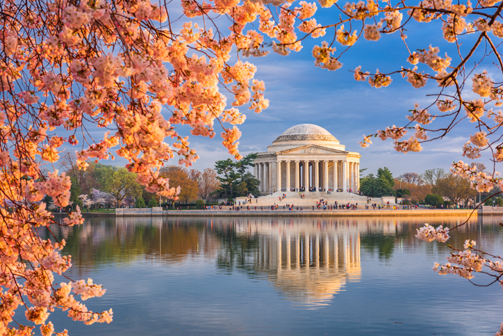 A lovely shot of the Jefferson Memorial in Washington, D.C.