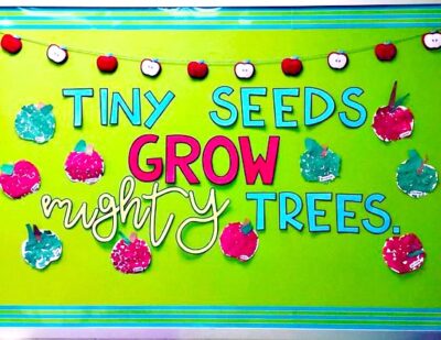 Tiny seeds grow mighty trees apples bulletin board back to school