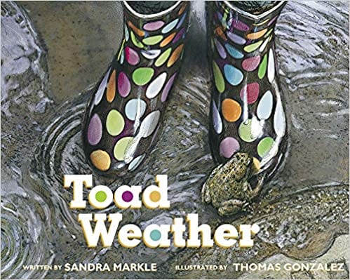 Book cover for Toad Weather example of Spring books for kids