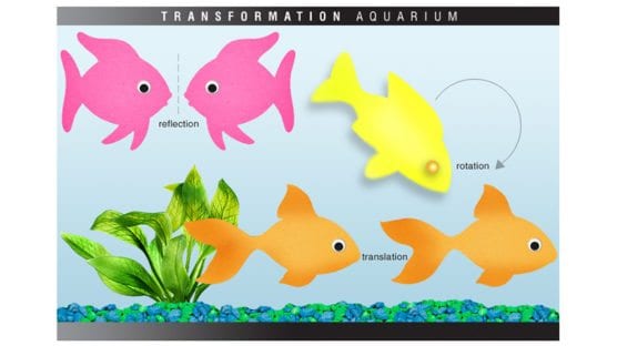 Geometry Transformation Activity: Transformation Aquariums