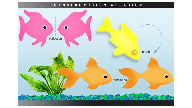 Geometry Transformation Activity: Transformation Aquariums
