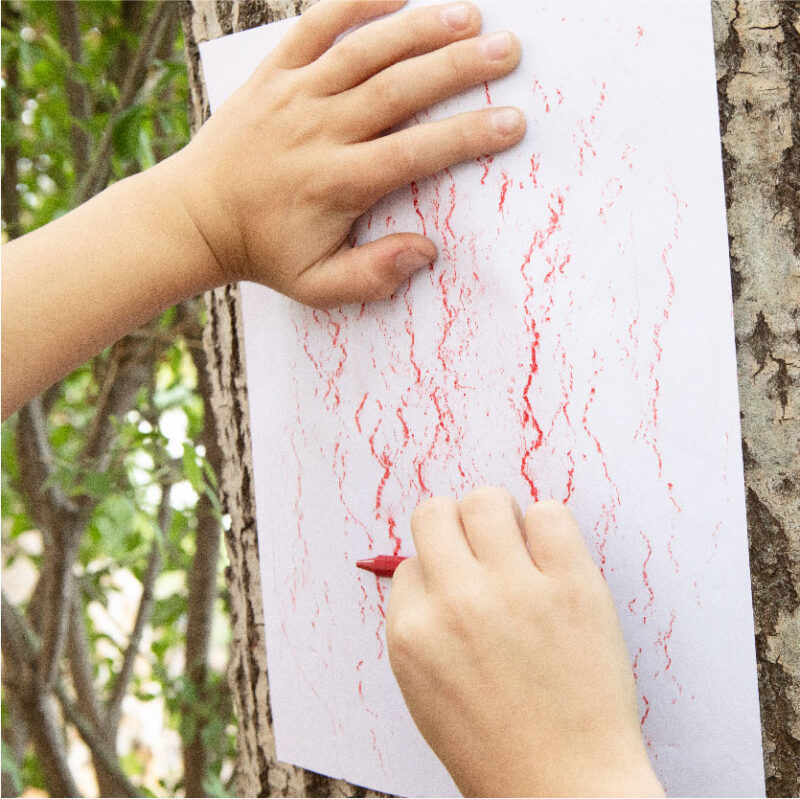 Close up of child's hands doing a tree rubbing.