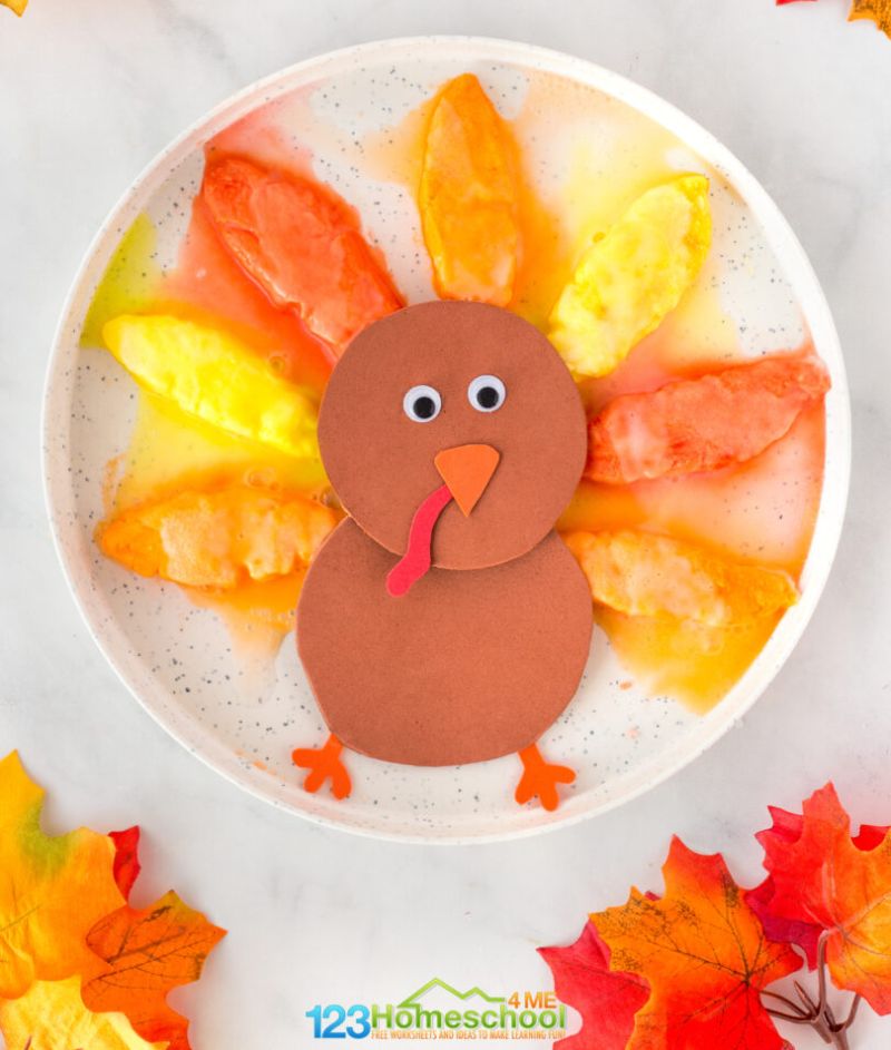 Construction paper turkey with feathers made of baking soda, foaming after vinegar has been added