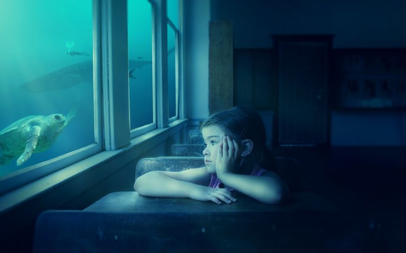 A child sitting at a desk, looking out the window at fish swimming by