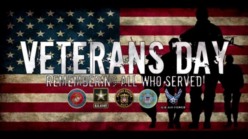veterans day banner for veterans day vs. memorial day