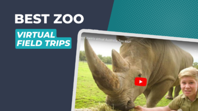 Australia Zoo Bob Irwin and rhinoceros YouTube screenshot on a tablet.