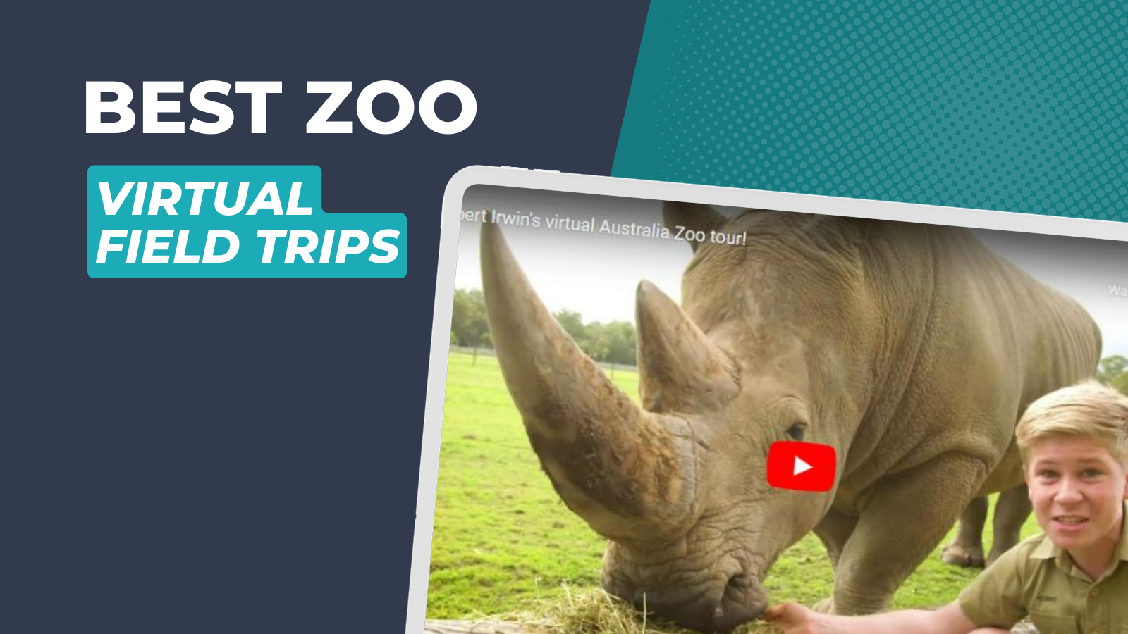 virtual visit to the zoo